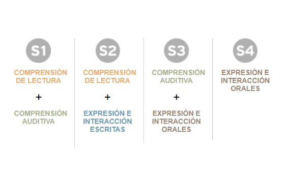 Siele global