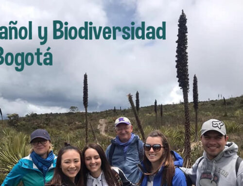 Español y Biodiversidad en Bogotá