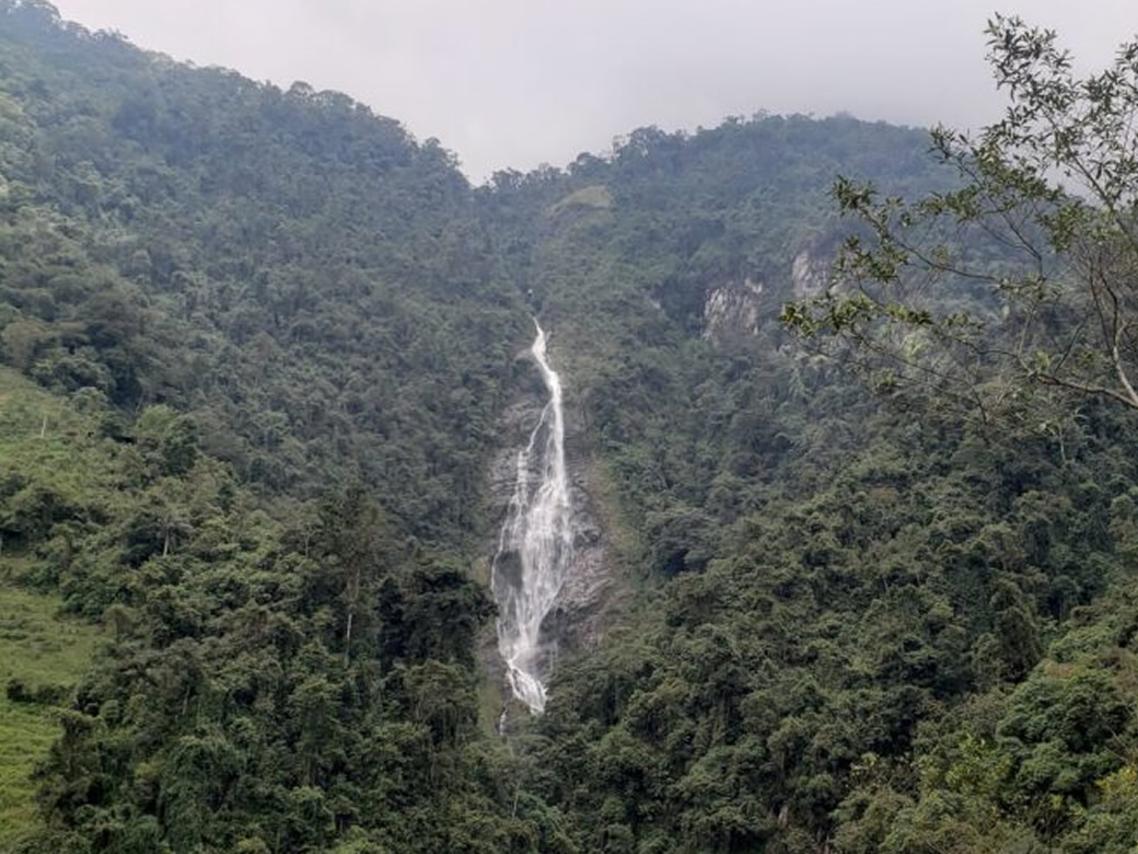 ESCUELA DE ESPANOL NUEVA LENGUA IBAGUE