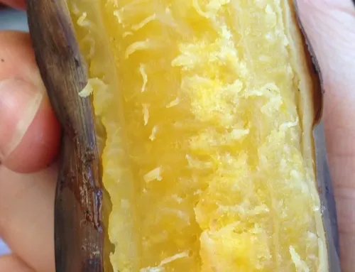 Receta: Plátano relleno con queso y bocadillo colombiano