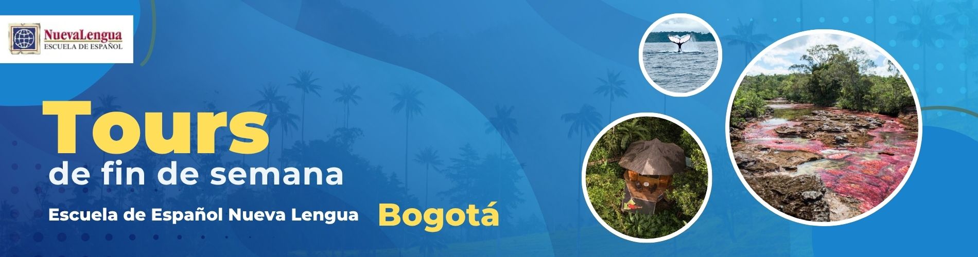 Tours fin de semana Nueva Lengua